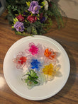 Transparent Claw Clip Medium Size