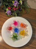 Transparent Claw Clip Medium Size