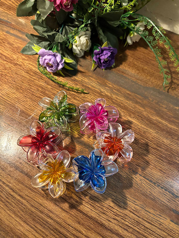 Transparent Claw Clip Medium Size